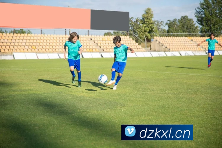 yy易游(中国)体育.官方网站 - 米乐平台生态图